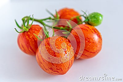 Tomatoes striped tomato close-up on a white plate, cultivar Tigerella. Stock Photo