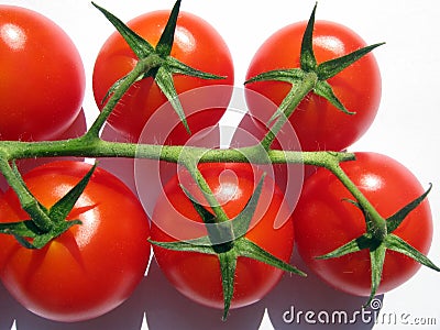 Tomatoes on the vine Stock Photo