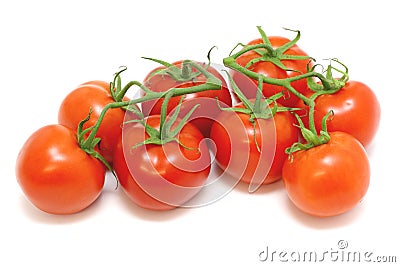 Tomatoes On The Vine Stock Photo