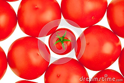 Tomatoes. White background. Stock Photo