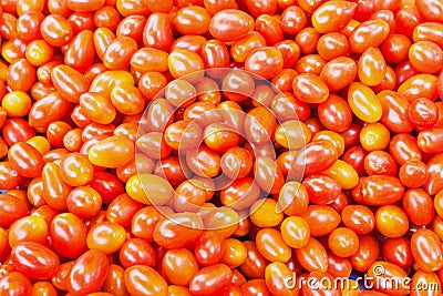 Tomatoes. Whole and a half Stock Photo