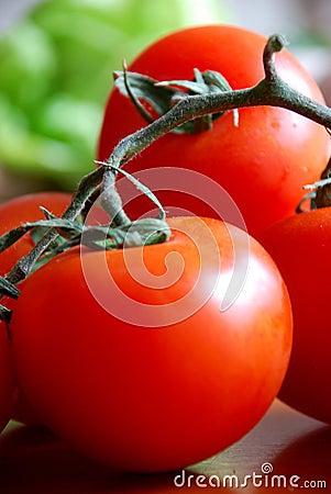 Tomatos Stock Photo