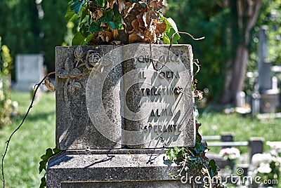 Tomb of an Italian poet Carlo Mioni Trieste 1871-1946 aka Alma Sperante Editorial Stock Photo