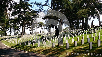 Tombstones in a hillside along with huge trees Stock Photo