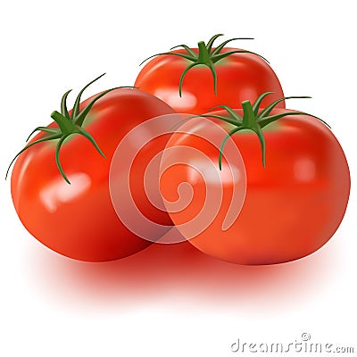 Realistic of tomatoes isolated on white background Vector Illustration