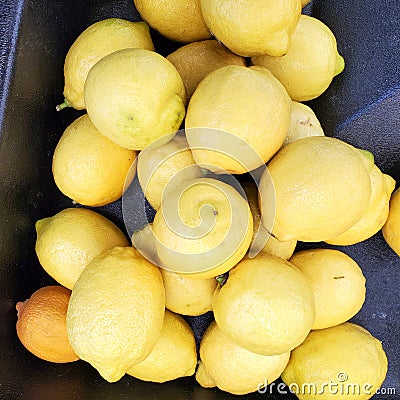 Tomorrow Lemon Meringue Pie Stock Photo