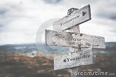 Tomorrow, now, yesterday signpost in nature. Stock Photo