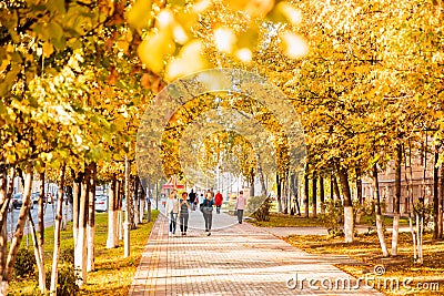 TOMSK, RUSSIA - September 25, 2019: Panorama Autumn landscape of city Lenin Avenue with yellow leaves trees Editorial Stock Photo