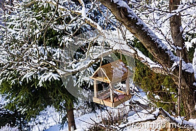 Tomtit is eating from the feeder. Stock Photo