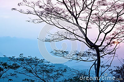 Tonal perspective scape in pink and blue. Stock Photo