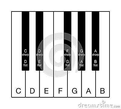 Twelve-tone chromatic scale on musical keyboard Vector Illustration