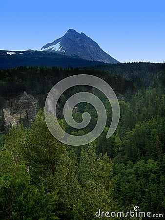 Tongass National Forest Stock Photo