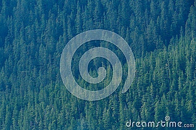 Hazy Look into the Tongass Natonal Forest Stock Photo