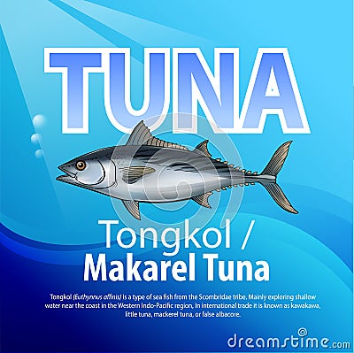 Tongkol or Mackerel Vector Illustration