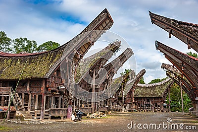 Tongkonan houses, traditional Torajan buildings, Tana Toraja, Sulawesi, Indonesia Stock Photo