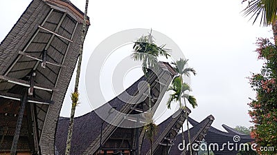 Tongkonan traditional house in North Toraja, Indonesia. Close up photo with sky background. Stock Photo