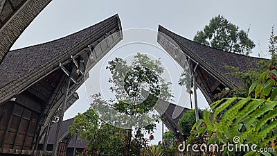 Tongkonan traditional house of North Toraja, Indonesia Stock Photo