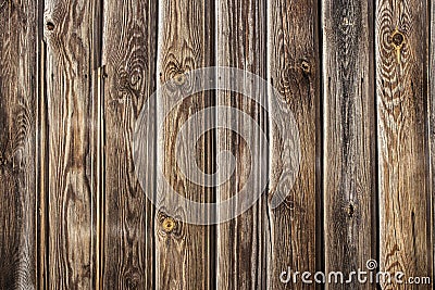 Tongue and groove pine wood wall Stock Photo