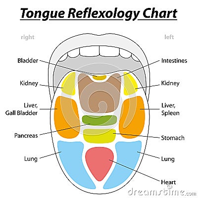 Tongue Reflexology Chart Cartoon Illustration