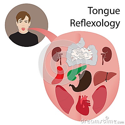 tongue reflexology chart Vector Illustration