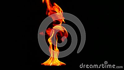 Tongues flame on a black background, slow motion Stock Photo