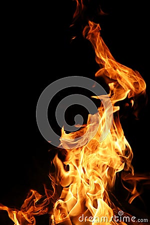 Tongues of flame of fire of orange-yellow color from burning fir Stock Photo