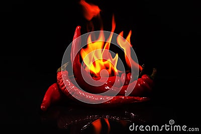 Tongues of flaming red chili peppers.burning pepper on a dark black background Stock Photo