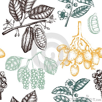 Vector background with tonic and spicy plants. Hand drawn seamless pattern with spices illustrations. Vintage aromatic elements. S Cartoon Illustration
