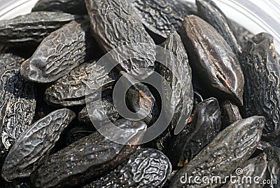 Tonka beans Stock Photo