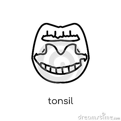 Tonsil icon. Trendy modern flat linear vector Tonsil icon on white background from thin line Human Body Parts collection Vector Illustration