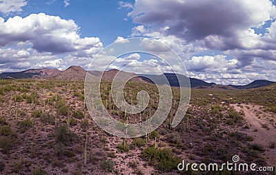 Tonto National Forest in Arizona with Native American ruins, Hohokam, Hillfort, Petroglyphs Stock Photo