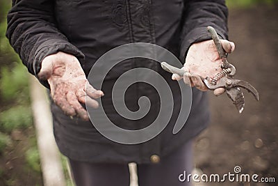 Tool pruner in female dirty hands after working in the garden. Gardener without gloves Stock Photo