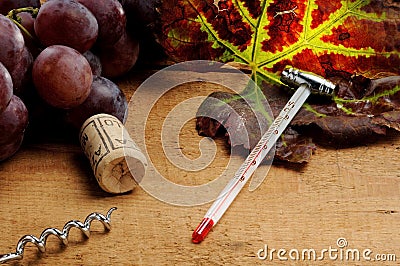 Tools for enology Stock Photo