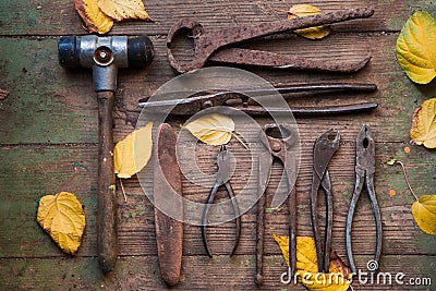 Tools of rural life on the wooden floor. scissors, pliers, pliers, hammer, wire cutters Stock Photo