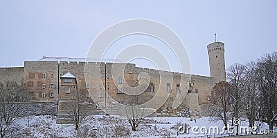 Toompea castle and Pikk Hermann tower, Tallinn Stock Photo