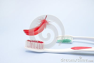 Tooth brushes and red feather. Periodontitis, bleeding gums, hygiene conception photo of periodontal disease. Dental care and toot Stock Photo
