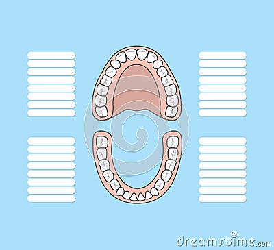 Tooth chart blank illustration vector on blue background. Dental Vector Illustration