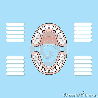 Tooth Chart Primary teeth Blank illustration vector on blue back Vector Illustration