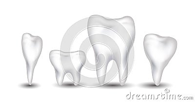 Tooth collection for you design Stock Photo