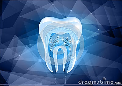 Tooth cross section design Vector Illustration