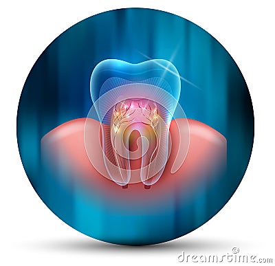 Tooth cross section icon Vector Illustration