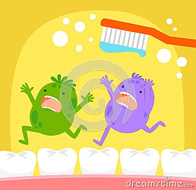 Tooth germs and toothbrush Vector Illustration