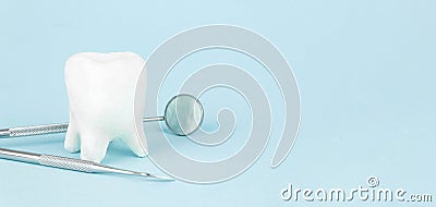 Tooth model and Dentist Professional tools medical equipment, teeth will good healthy Stock Photo