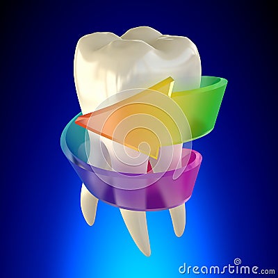 Tooth Molar Healthy isolated on blue background Stock Photo