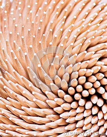The toothpick points Stock Photo