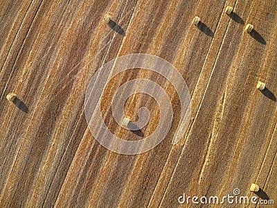 Top aerial view of several round bales of straw on the field after harvest Stock Photo