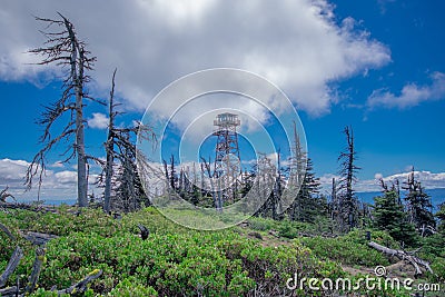 On Top of Black Butte Stock Photo