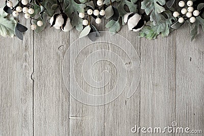 Top border of silver green leaves and white berries over gray wood Stock Photo