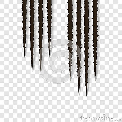 Top claws scratches - vector isolated. Talons cuts animal cat, dog, tiger, lion, claws scratches - vector Vector Illustration