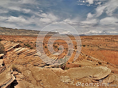 Near the Top of Comb Ridge Stock Photo